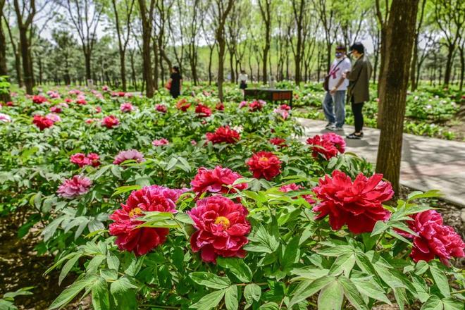 2：三大+书市+特色小镇打卡文旅新地标AG真人app120小时玩转副中心-(图6)